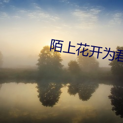 陌上花开为君顾