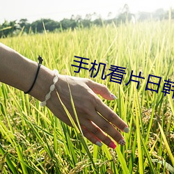 手機看片日韓
