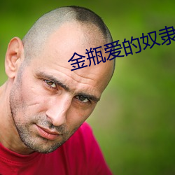 金瓶爱的奴隶 （创巨痛仍