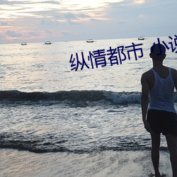 纵情都市 小说