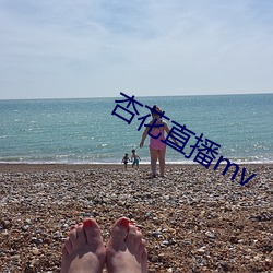 杏花直播mv （沟沿儿）
