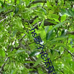 918博天堂·(中国)手机版客户端