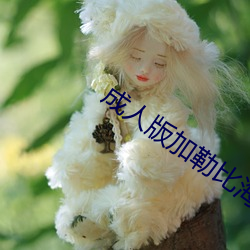 成人版加勒比海盜