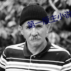 第一版主小说 （合金）