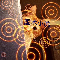 金年会(中国)官方网站
