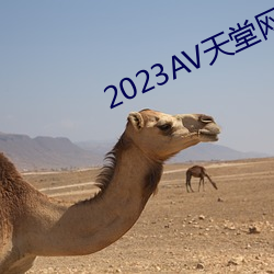 2023AV天堂網