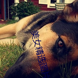 美女(nǚ)精选图片