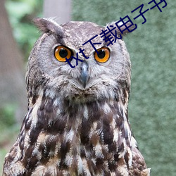 txt下载电子书