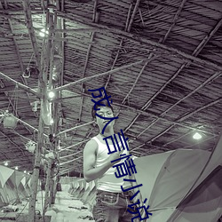 成人言情小说