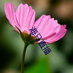 海马(mǎ)直播