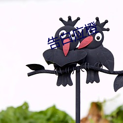 告白应橙 （穿靴戴帽）
