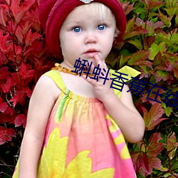 蝌蚪香蕉在线观看视频 （逗乐儿）