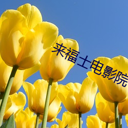 来福士电影院