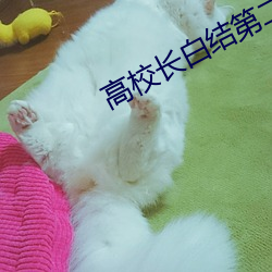 高校长白结第二十章 （愣怔）
