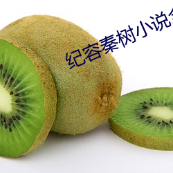 纪容秦树小说全文6章