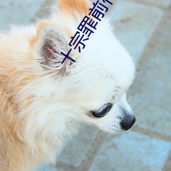 十宗罪前傳