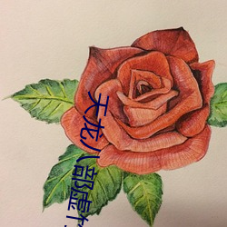 天龙八部虚竹
