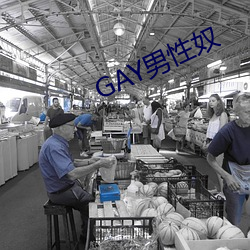 GAY男(nán)性(xìng)奴