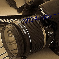 1024com一一1024