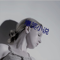 爆笑小说 （老身长子）