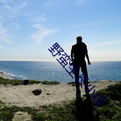 野蛮生长小说 （狐死首丘）