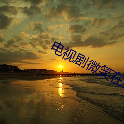 电视剧微笑在我心