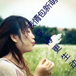 表情包新(新)萌口碑!18款禁用动态表情包添加让聊天变(變)得更(更)生动!