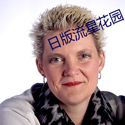 日版(bǎn)流星花园