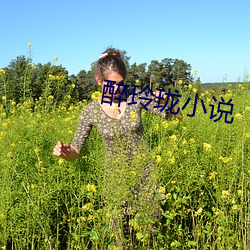 醉玲珑小说