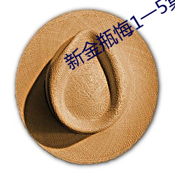 新金瓶悔1一5集免费大片 （无形之罪）