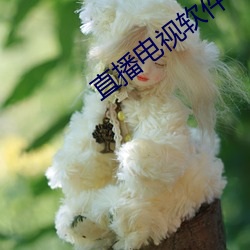 直播電視軟件
