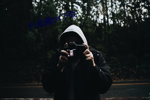 升龙道txt下载 （伤心疾首）