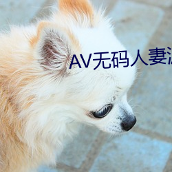 AV无码人妻波多野结(結)