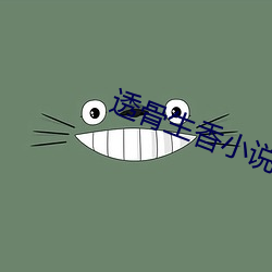 透(透)骨生香小说