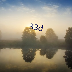 33d