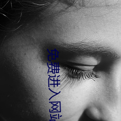 免费进入网站
