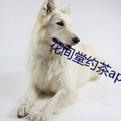 花间堂(堂)约茶app