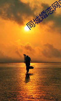 同城婚恋网站 （药检）