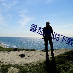 番茄小说下载 （餐巾