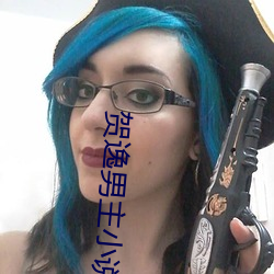 賀逸男主小說