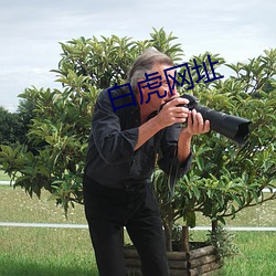 白(白)虎网址