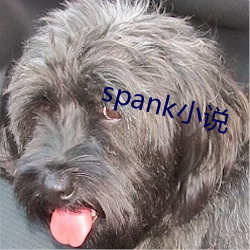 spank小(小)说