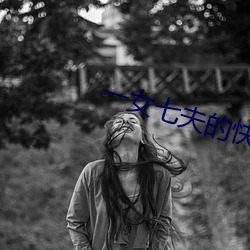 一女七夫的快乐生活小说