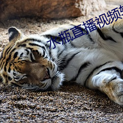 水瓶直播视频软件