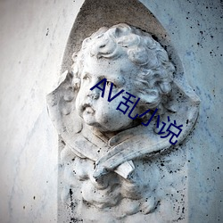 AV乱(亂)小(小)说