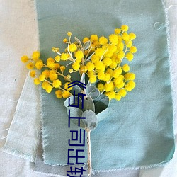 与上司出轨(軌)的女(女)人(人)吉吉电影在线(線)观(觀)看