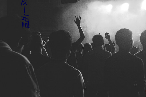 國外一對一聊天的軟件