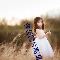 冬至图片高清 （岩漠）