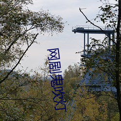 网剧鬼(guǐ)吹灯