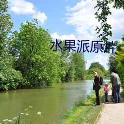 水果派原片 （丑表功）